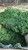 IMG_1691.jpeg