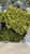 IMG_1666.jpeg